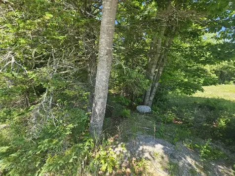 Lot 1 Martins Ridge Road Franklin ME 04634