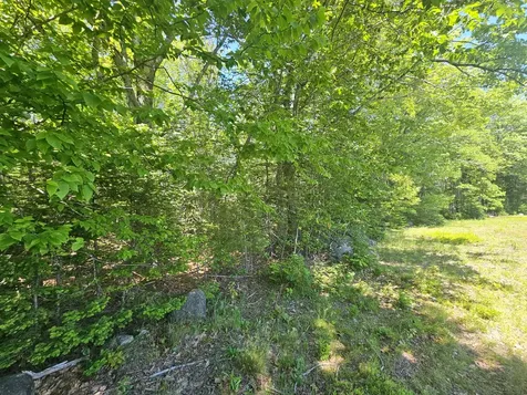 Lot 1 Martins Ridge Road Franklin ME 04634