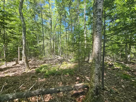 Lot 1 Martins Ridge Road Franklin ME 04634
