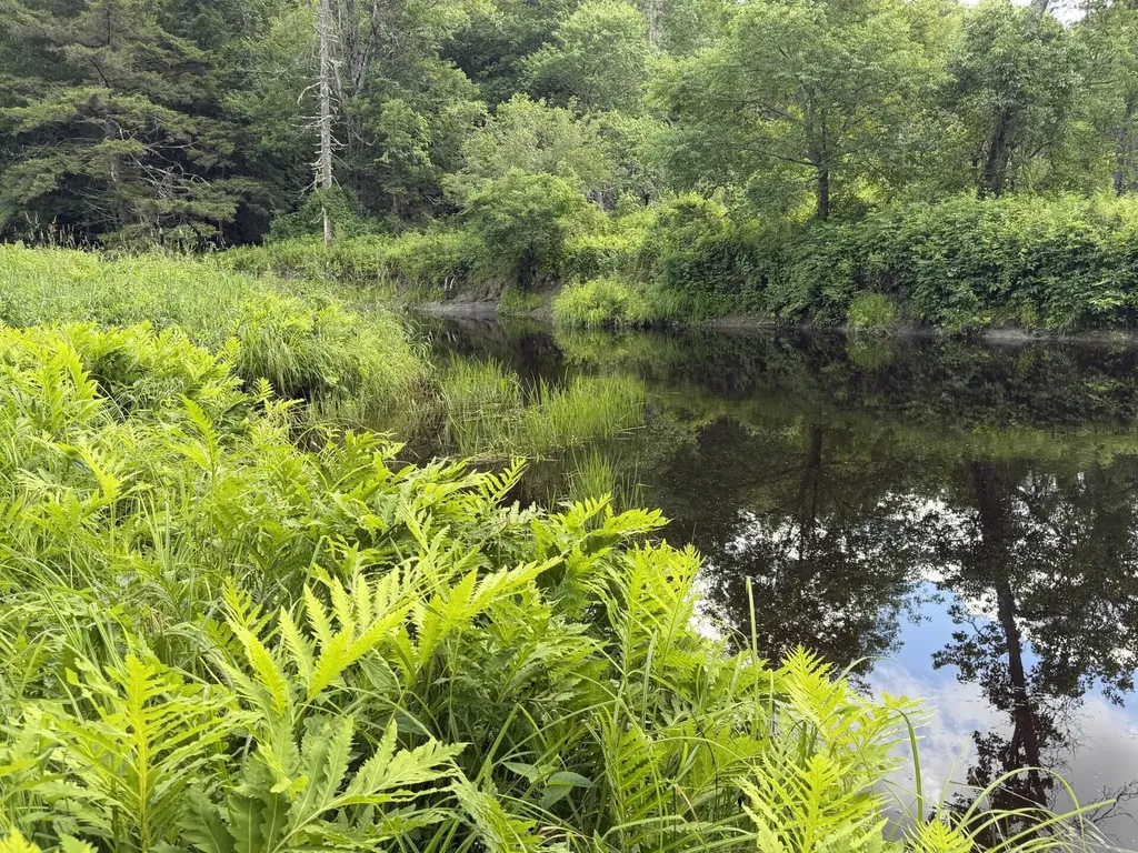 Lot 16-6 Norridgewock Road Fairfield ME 04937