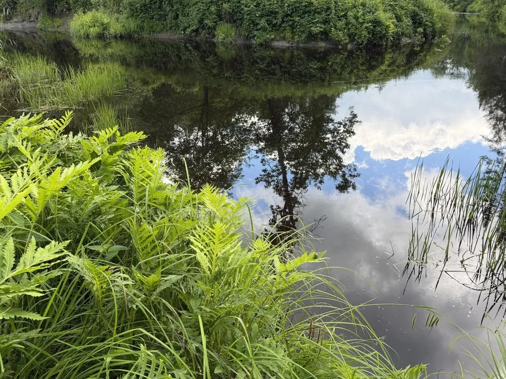 Lot 16-6 Norridgewock Road Fairfield ME 04937