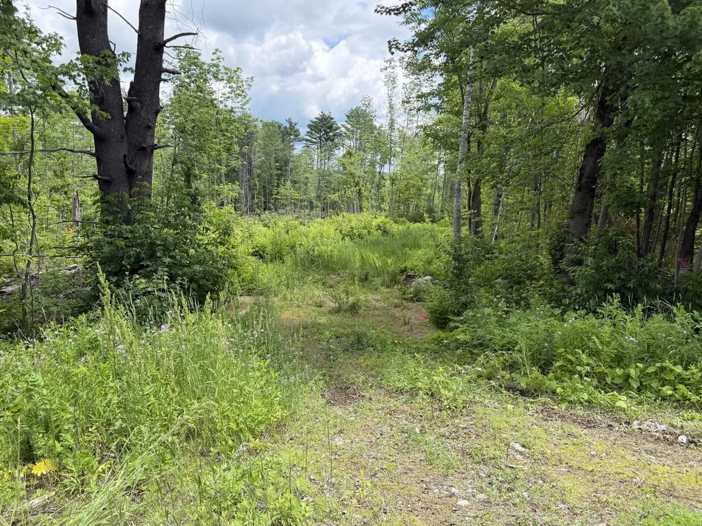 Lot 16-6 Norridgewock Road Fairfield ME 04937