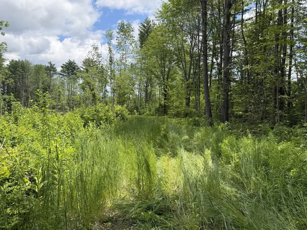 Lot 16-6 Norridgewock Road Fairfield ME 04937