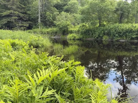 Lot 16-6 Norridgewock Road Fairfield ME 04937