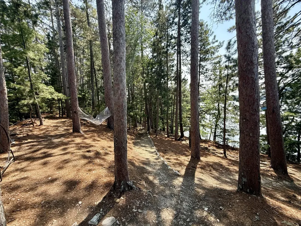 #36 Snake Island Beaver Cove ME 04441