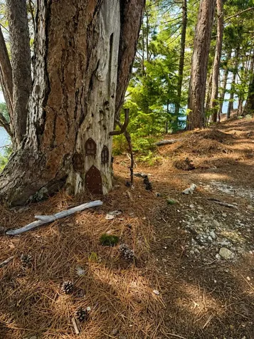 #36 Snake Island Beaver Cove ME 04441