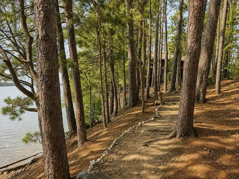 #36 Snake Island Beaver Cove ME 04441