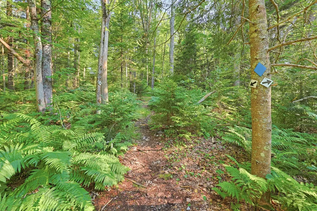 339 Fowler Road Cape Elizabeth ME 04107