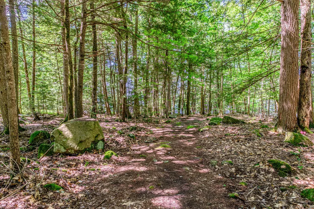 10 Bear Point Road Harrison ME 04040