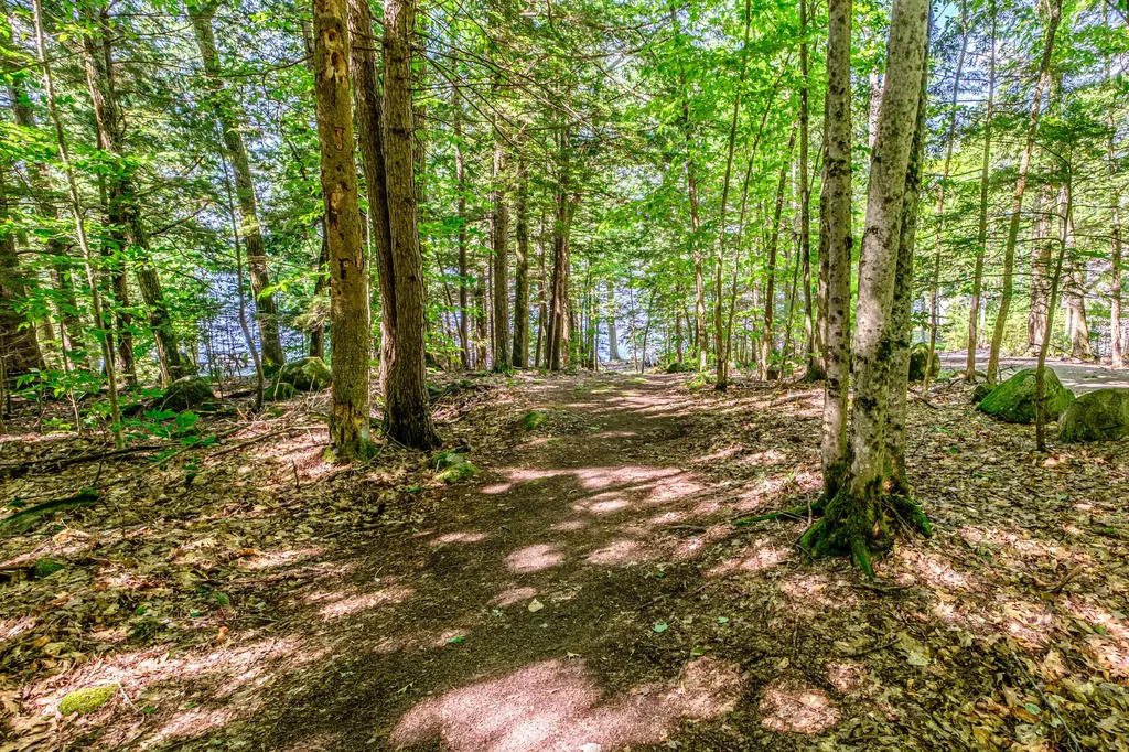 10 Bear Point Road Harrison ME 04040