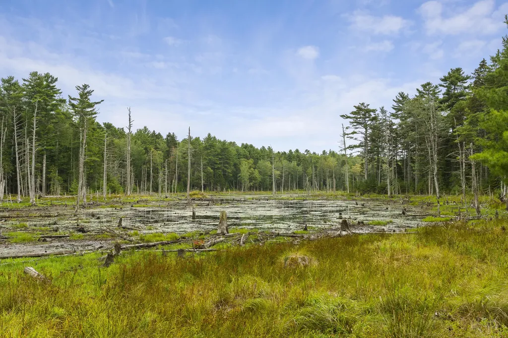 27 Doggett Road Westport Island ME 04578