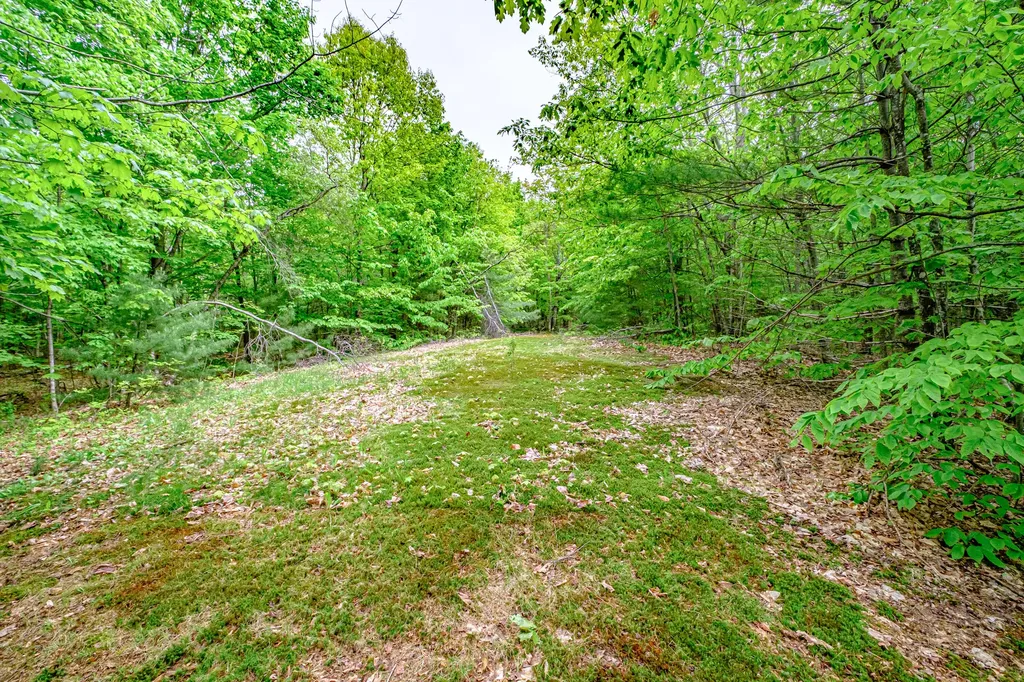 217 Chamberlain Road Brownfield ME 04010