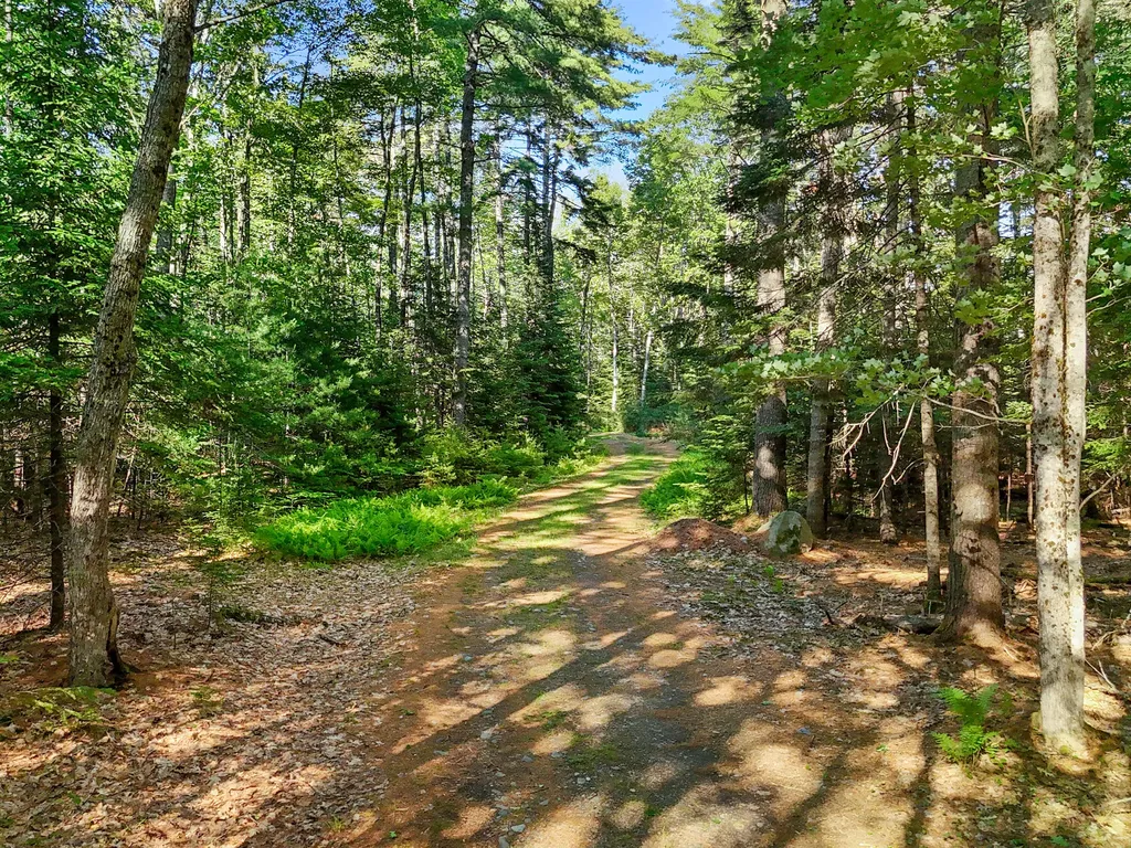 Part Of Map 26 Lot 46 & 48 Mullins Bog Road Lincolnville ME 04849