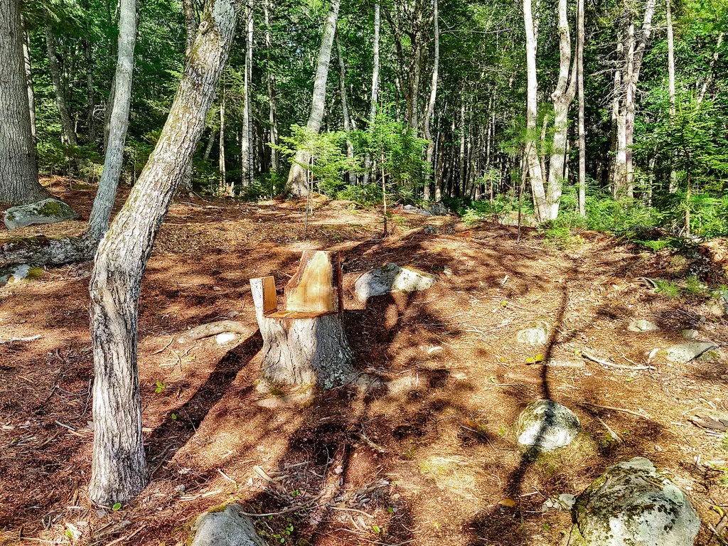 Part Of Map 26 Lot 46 & 48 Mullins Bog Road Lincolnville ME 04849