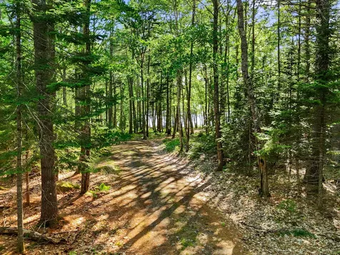 Part Of Map 26 Lot 46 & 48 Mullins Bog Road Lincolnville ME 04849