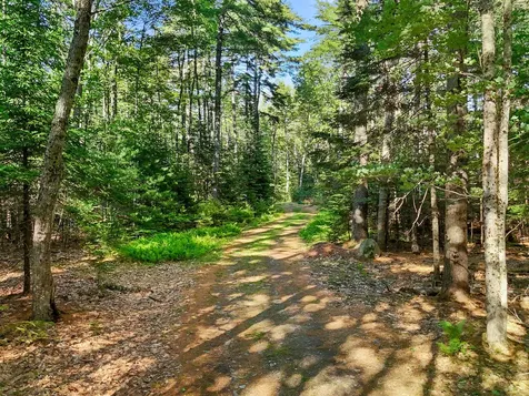 Part Of Map 26 Lot 46 & 48 Mullins Bog Road Lincolnville ME 04849