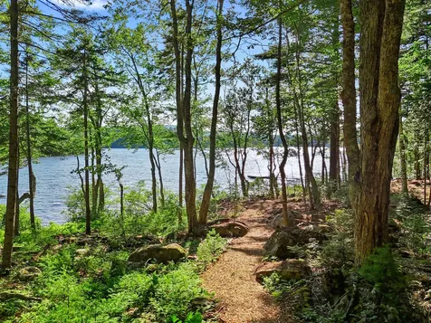 Part Of Map 26 Lot 46 & 48 Mullins Bog Road Lincolnville ME 04849