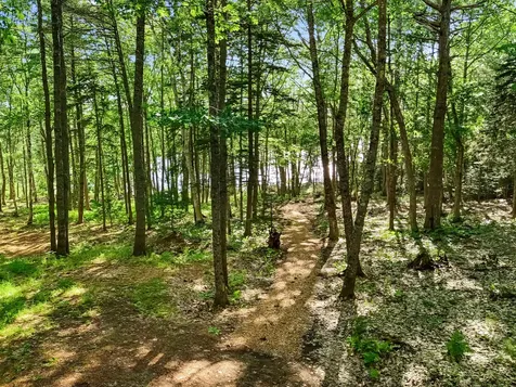 Part Of Map 26 Lot 46 & 48 Mullins Bog Road Lincolnville ME 04849