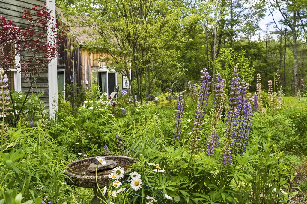 12 Birch Rock Lane Bristol ME 04539