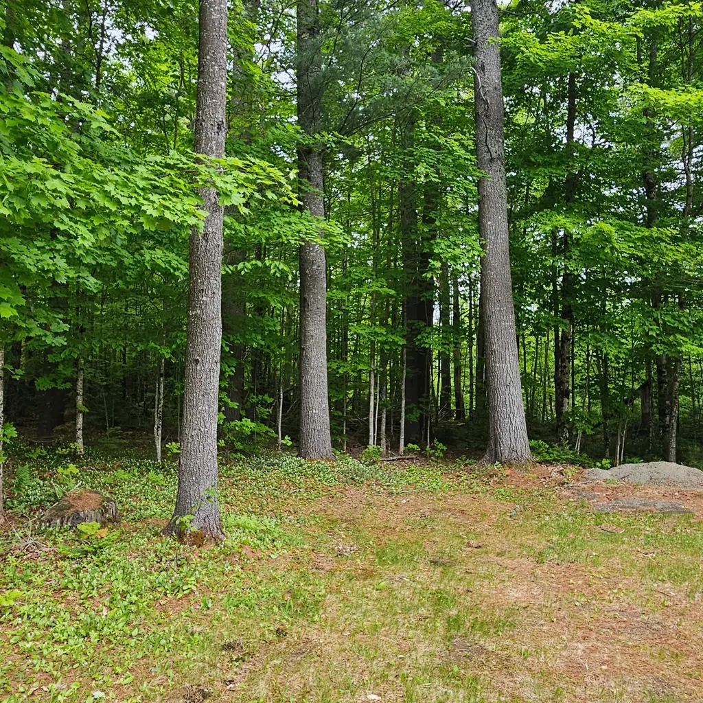340 Howland Road Lagrange ME 04453