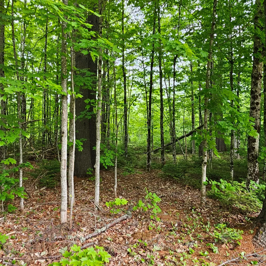 340 Howland Road Lagrange ME 04453
