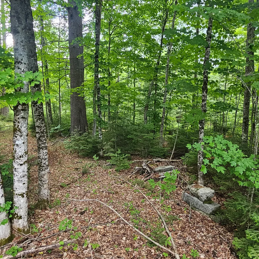 340 Howland Road Lagrange ME 04453