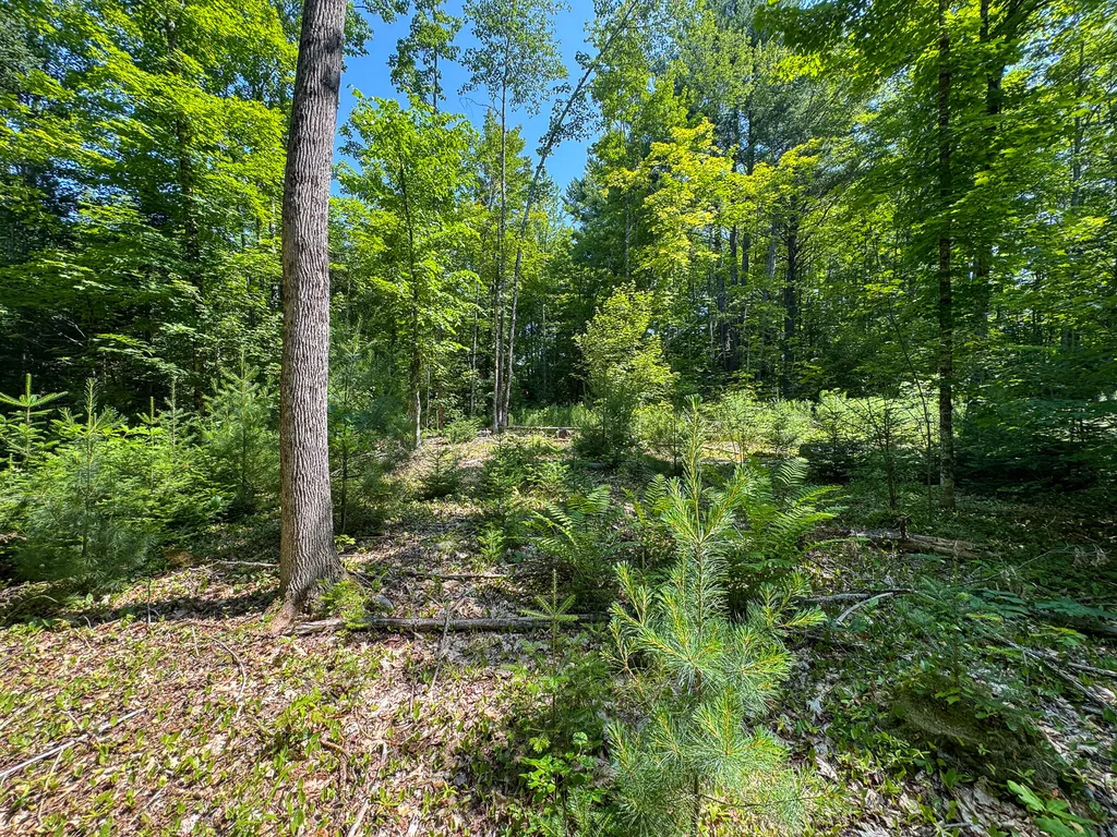 340 Howland Road Lagrange ME 04453