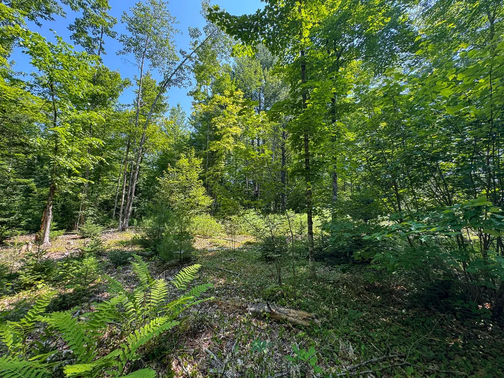 340 Howland Road Lagrange ME 04453