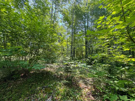 340 Howland Road Lagrange ME 04453