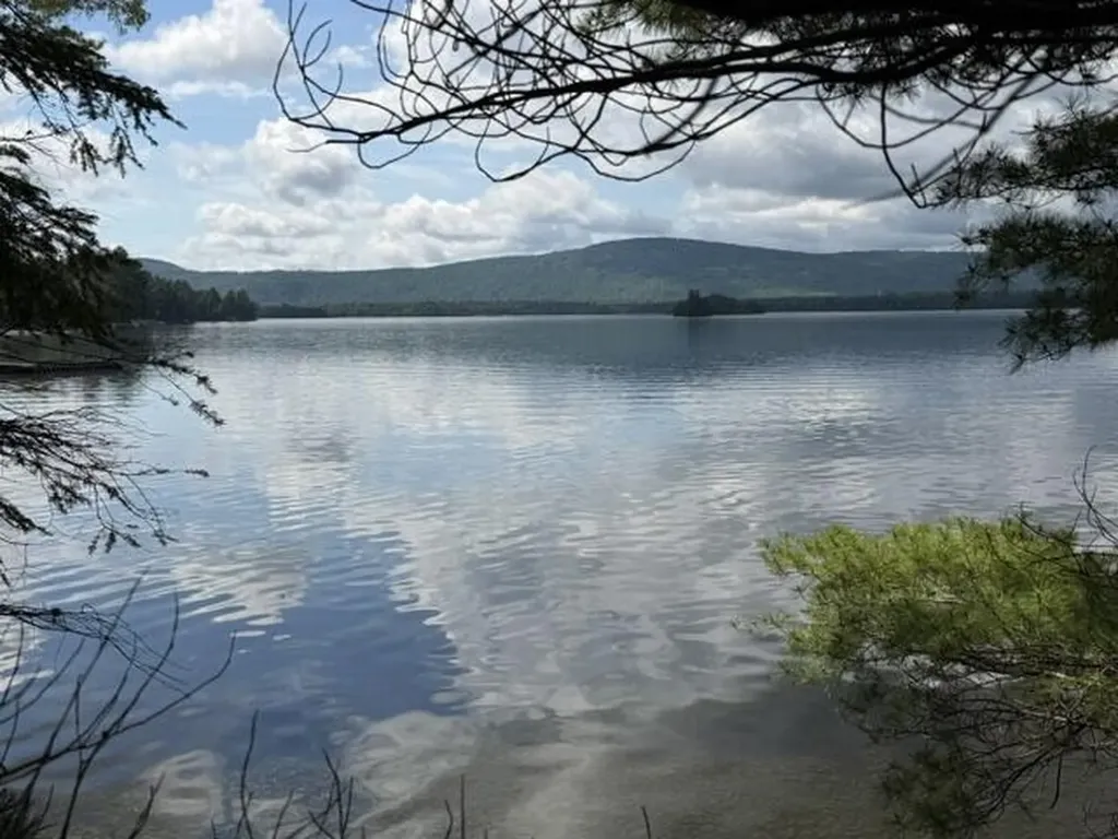 M5 L9&10 Black Point Road Beaver Cove ME 04441