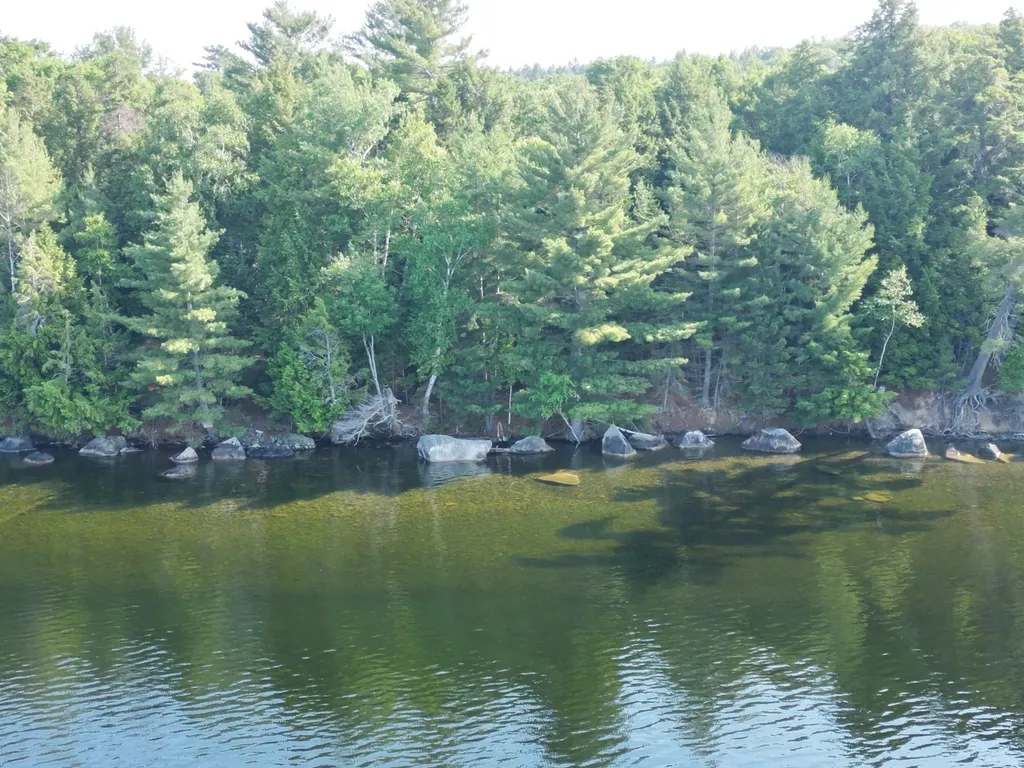 M5 L9&10 Black Point Road Beaver Cove ME 04441