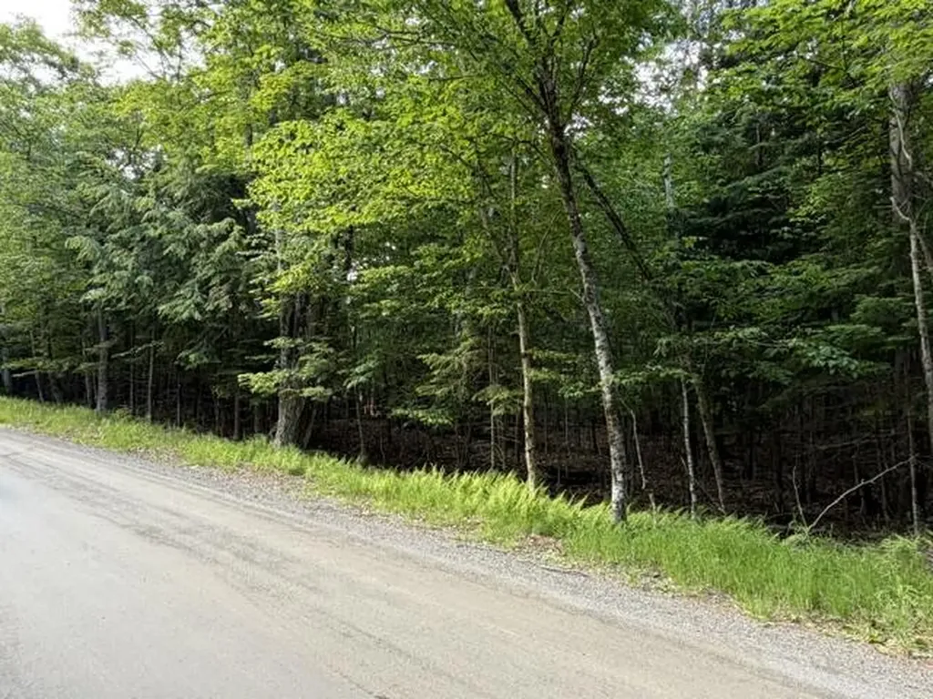 M5 L9&10 Black Point Road Beaver Cove ME 04441