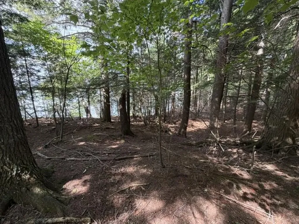 M5 L9&10 Black Point Road Beaver Cove ME 04441