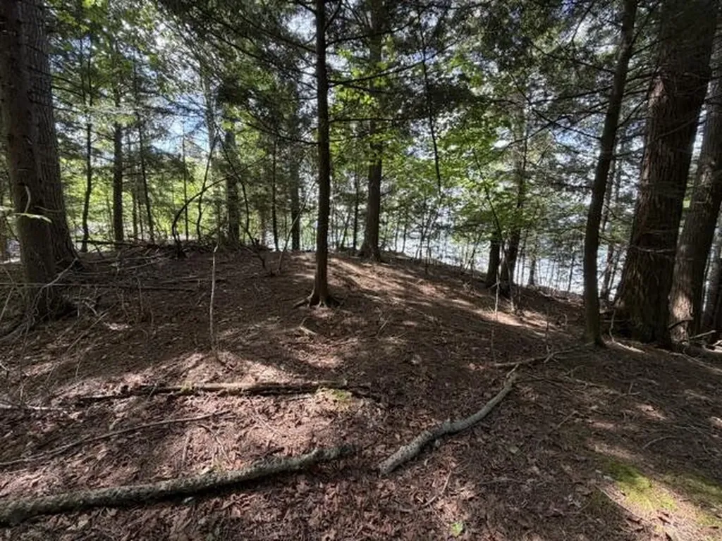 M5 L9&10 Black Point Road Beaver Cove ME 04441