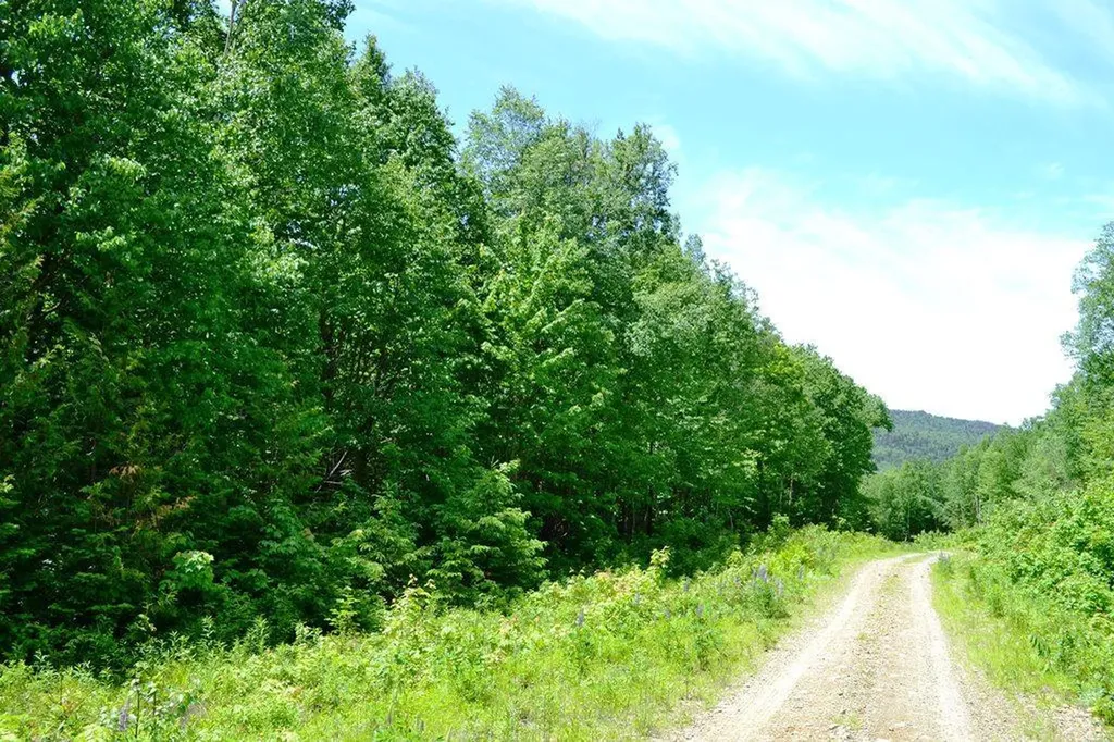 MAP004/030 Ermine Road Sandy River Plt ME 04970
