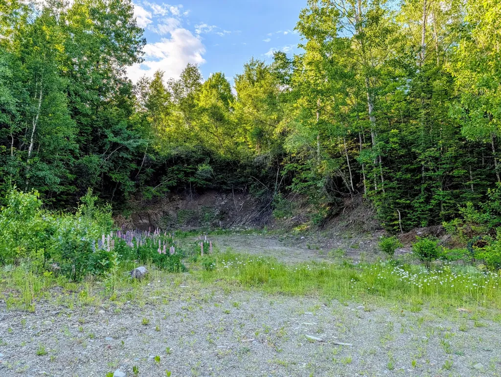147 Calvin Gray Road Madrid Twp ME 04966