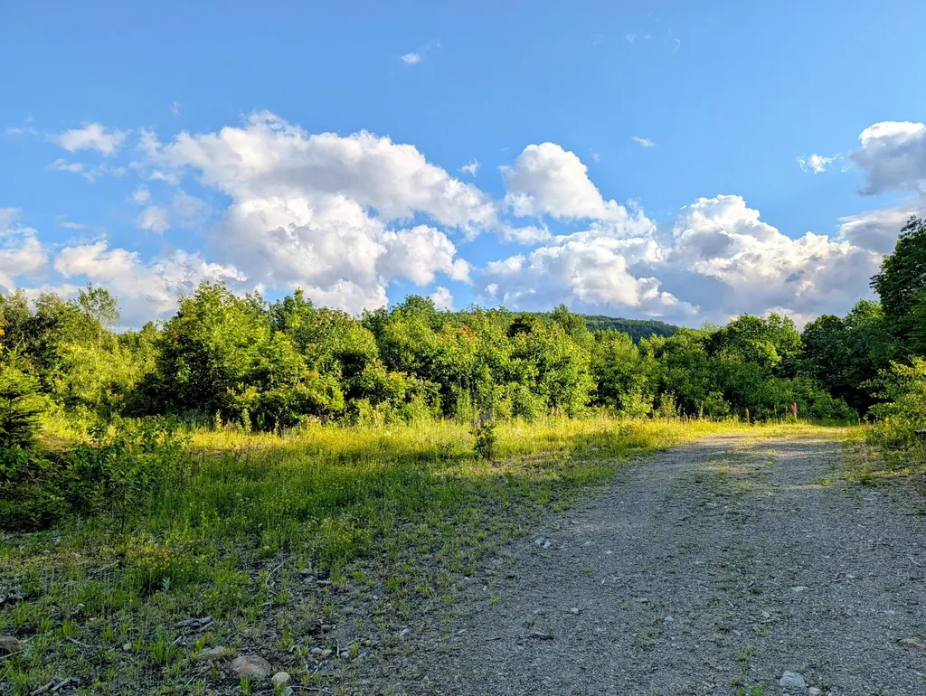 147 Calvin Gray Road Madrid Twp ME 04966