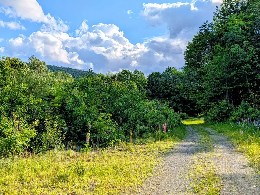 147 Calvin Gray Road Madrid Twp ME 04966