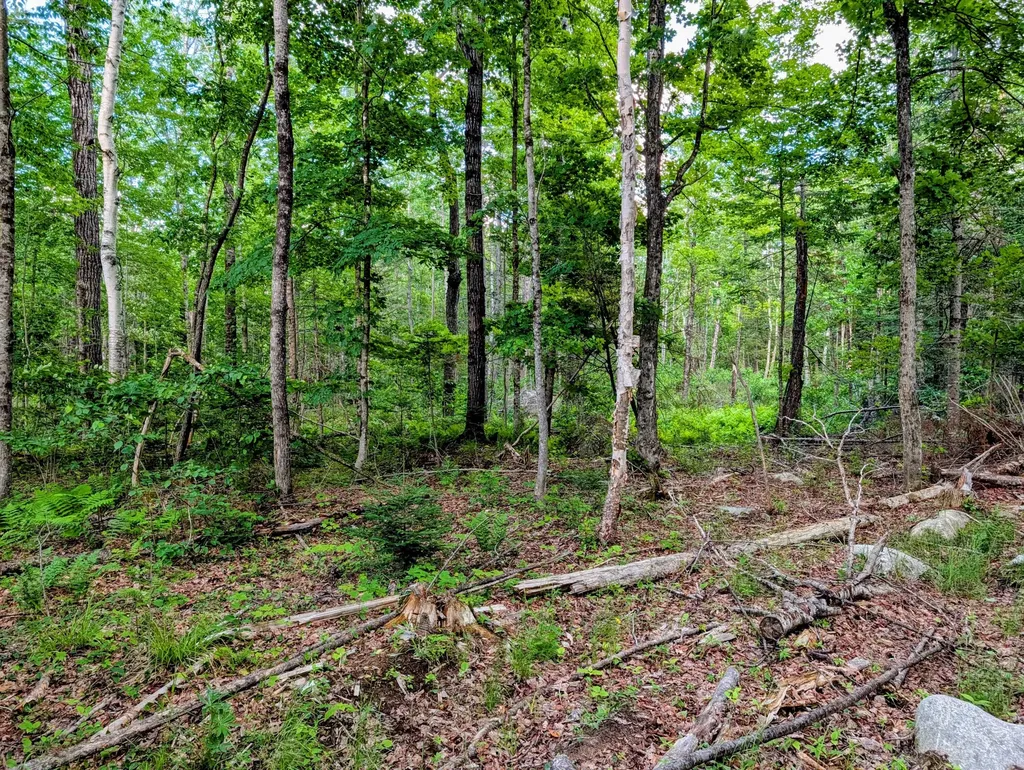 147 Calvin Gray Road Madrid Twp ME 04966