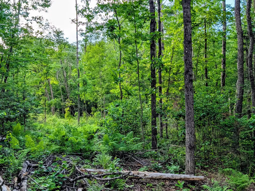 147 Calvin Gray Road Madrid Twp ME 04966