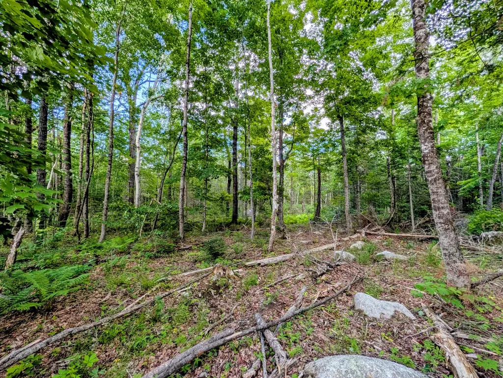 147 Calvin Gray Road Madrid Twp ME 04966