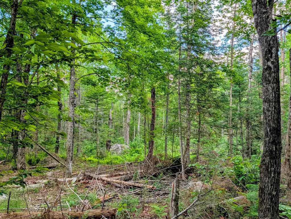 147 Calvin Gray Road Madrid Twp ME 04966