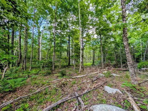 147 Calvin Gray Road Madrid Twp ME 04966