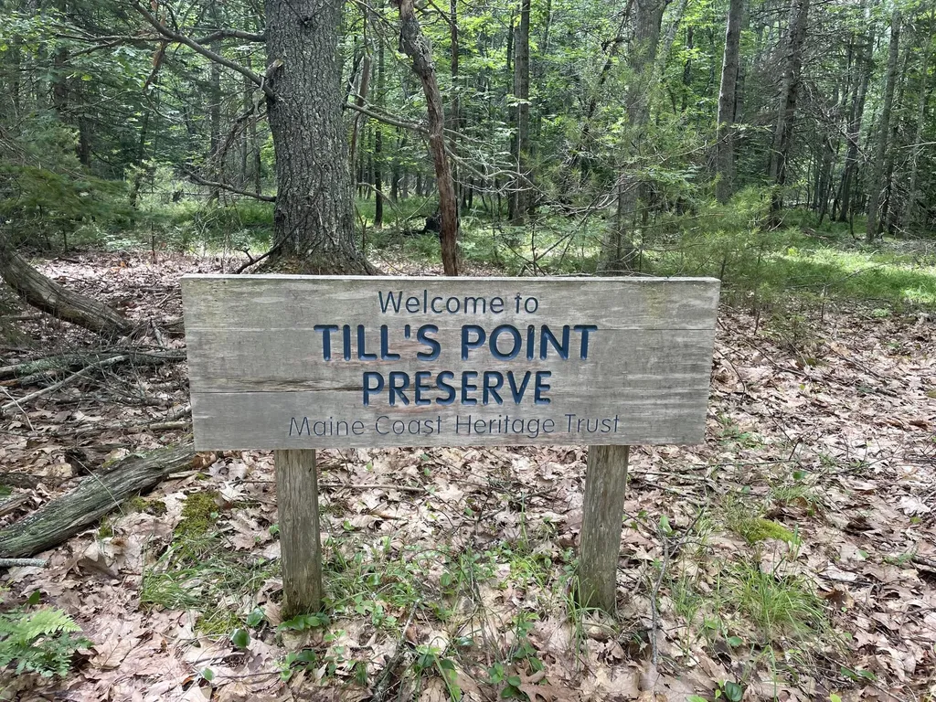 101 Wardwell Point Road Penobscot ME 04476
