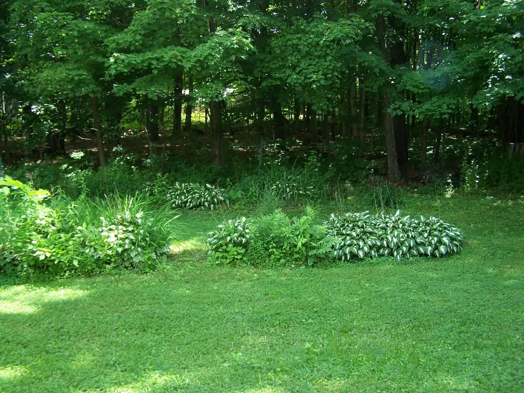 83 Elmwood Road Auburn ME 04210