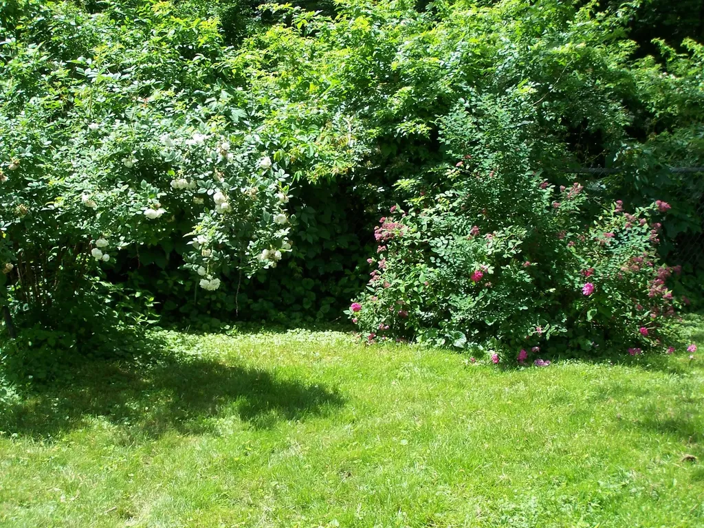 83 Elmwood Road Auburn ME 04210