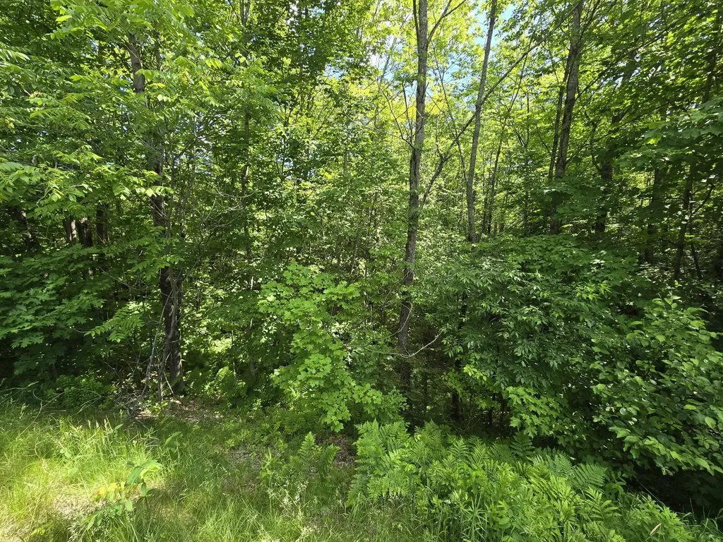 Lot 67 Temple Road Temple ME 04984
