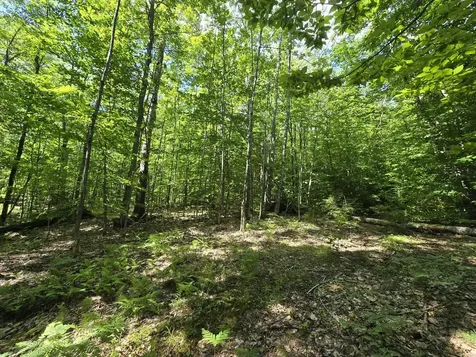 Lot 67 Temple Road Temple ME 04984
