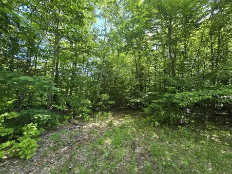 Lot 67 Temple Road Temple ME 04984