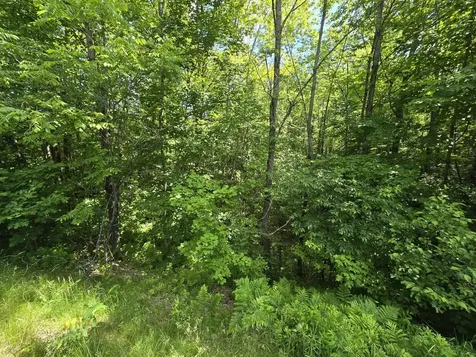 Lot 67 Temple Road Temple ME 04984